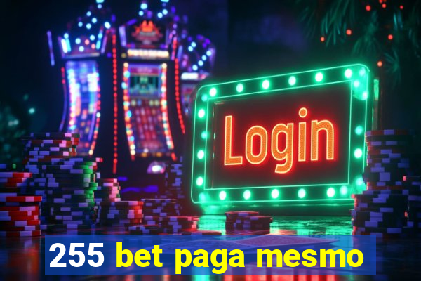 255 bet paga mesmo